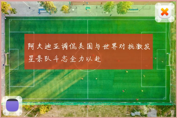 阿夫迪亚调侃美国与世界对抗激发星条队斗志全力以赴