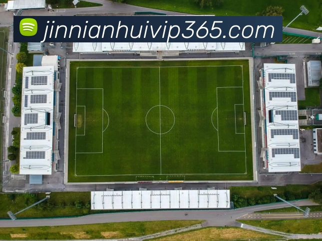 金年会体育APP 封面图